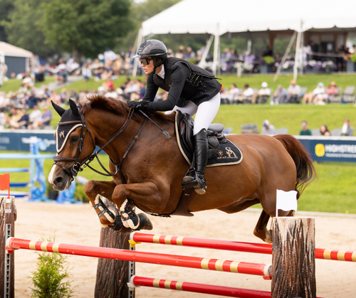 Saturday Evening Grand Prix in Traverse City | $62,500 CSIO3* B&D Builders Grand Prix image