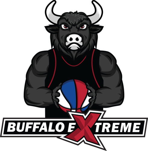 Buffalo eXtreme vs Rochester Royal Ballers '25 poster