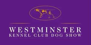 THE WESTMINISTER KENNEL CLUB WEEKLY GAME  DOG SHOW 2025 poster