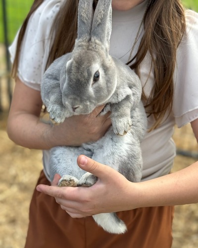 Ruby Creek Easter Celebration! image