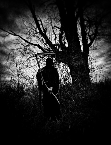 Haunted Nights at Wood Creek Hollow  poster