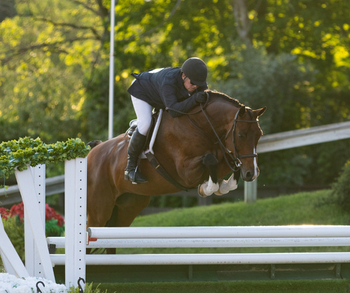 Saturday Evening Hunter Spectacular | World Championship Hunter Rider Hunter Spectacular image