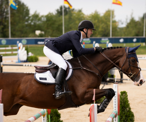 Show Jumping’s Biggest Stage | B&D Builders CSI5* Grand Prix image