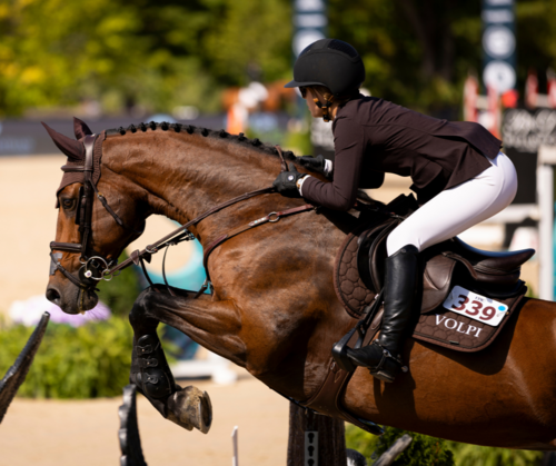 $340,000 Longines FEI Jumping World Cup CSIW-5* – Traverse City image