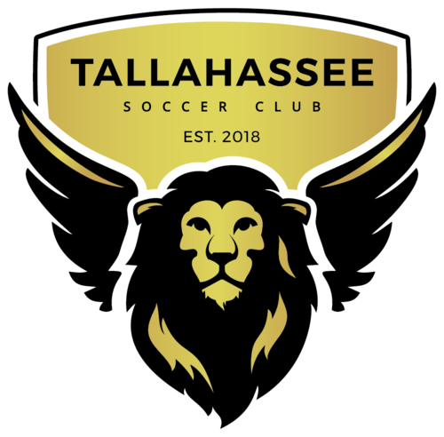 New Orleans Jesters vs Tallahassee SC (GAME 2) poster