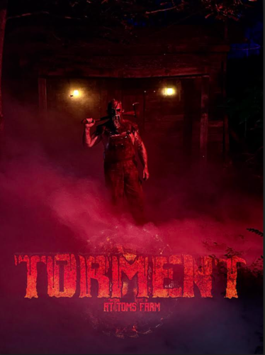 Torment image