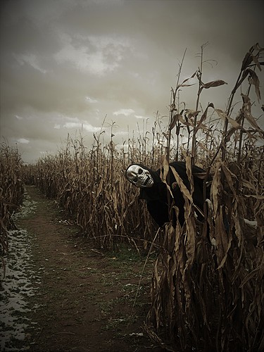 Feltz Fear Farm 2026 image