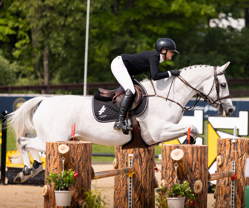 Sunday Show Jumping in Traverse City | $116,000 Southern Arches CSI3* Grand Prix image